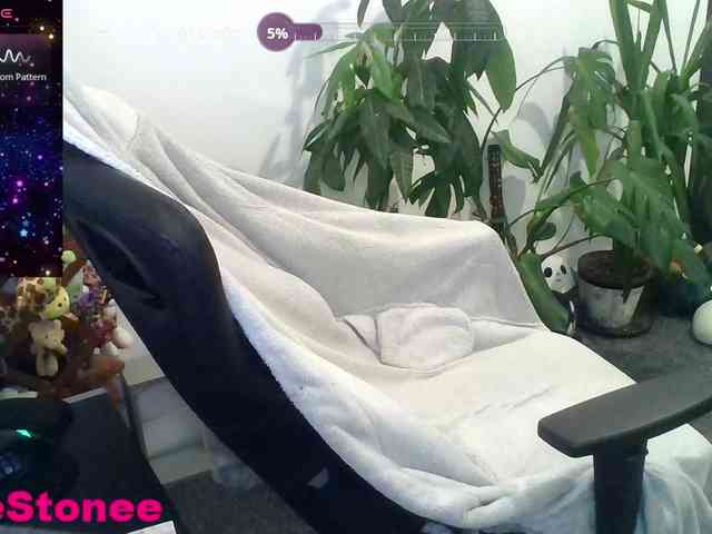 Eviestone webcam