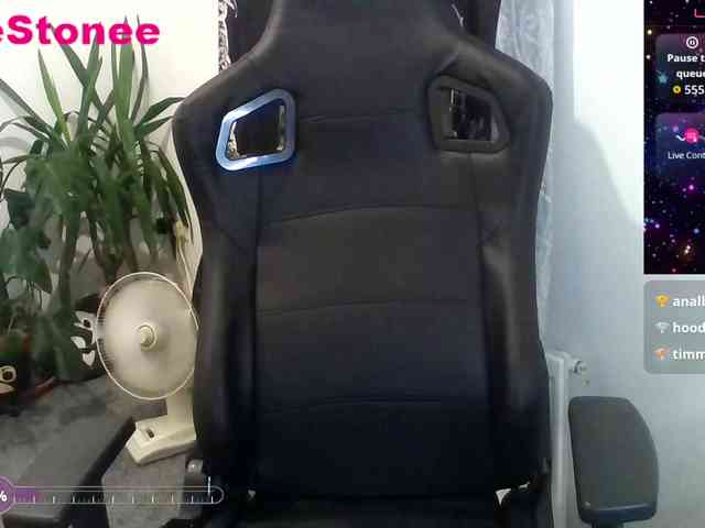 Eviestone webcam