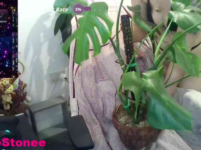 Eviestone webcam
