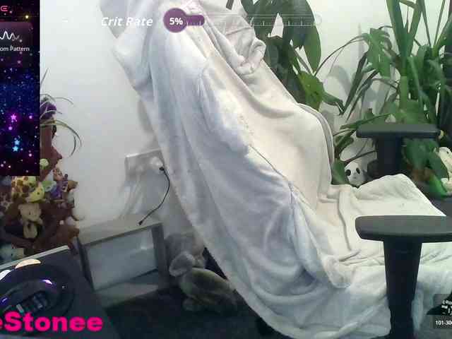 Eviestone webcam