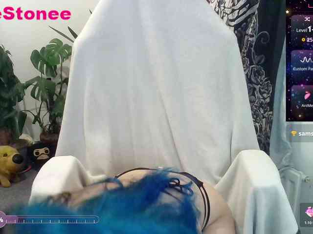 Eviestone webcam
