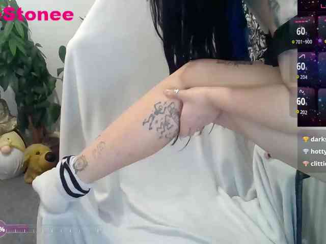 Eviestone webcam