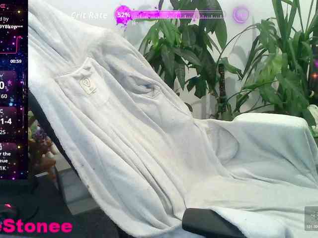 Eviestone webcam