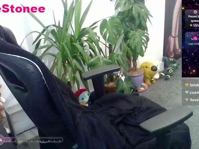 Eviestone webcam