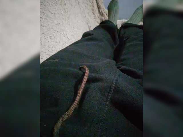 Vitalka91