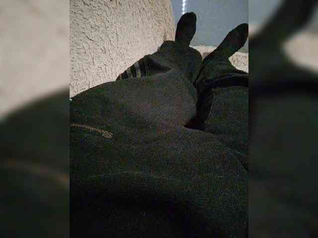 Vitalka91 Live Webcam on BongaCams