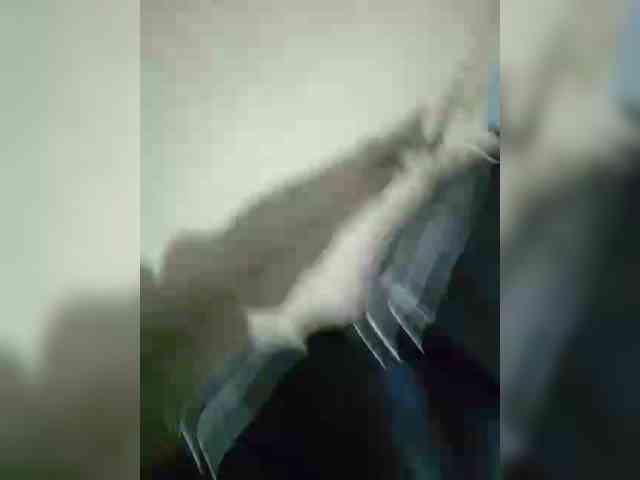 Vitalka91 Sex Cam Show