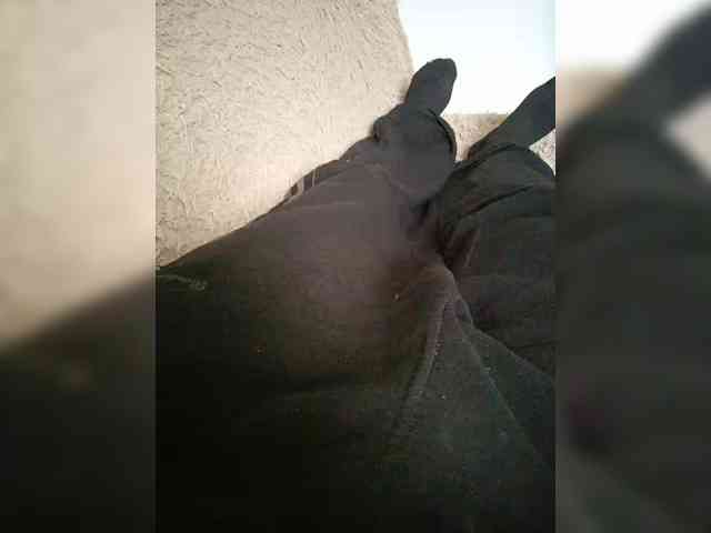 Vitalka91 Live Webcam on BongaCams