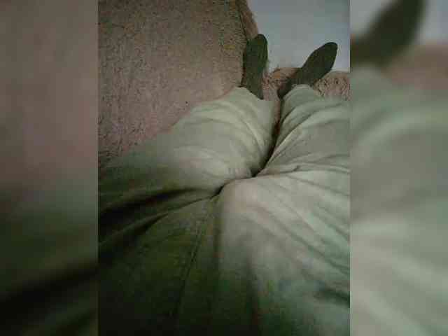 Vitalka91