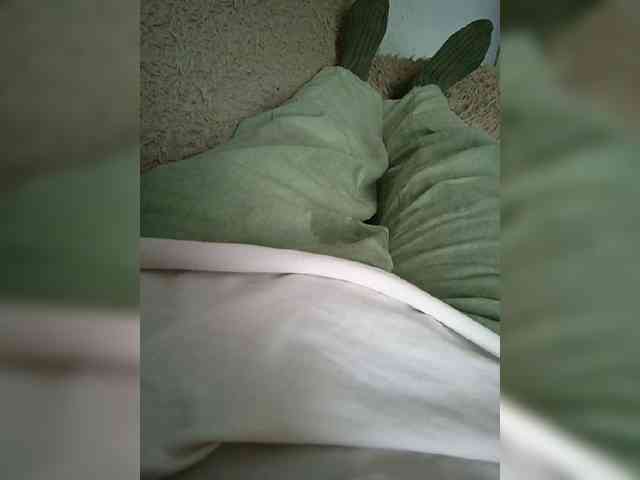 Vitalka91