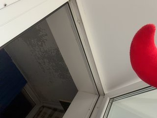 Milaya_Mia