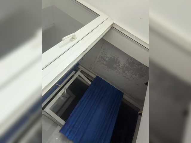 Milaya8