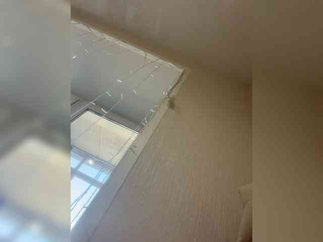 Milaya_Mia