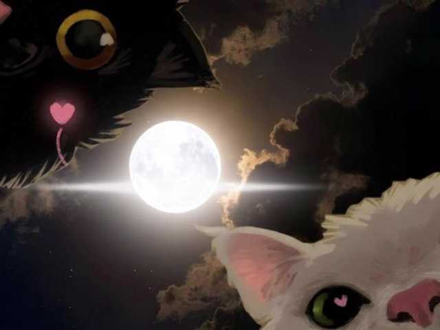LollyGirlMoon live cam on BongaCams