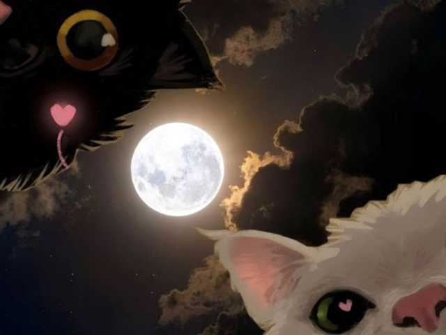 LollyGirlMoon