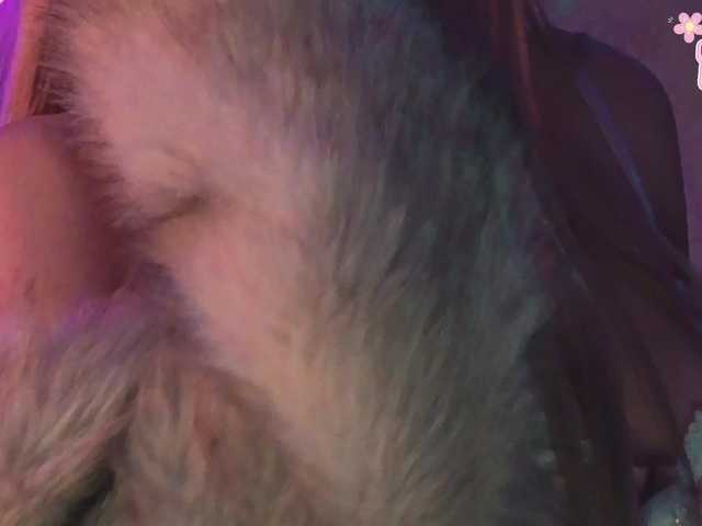 LollyGirlMoon live cam on BongaCams