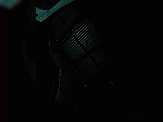 JuicyKittie webcam