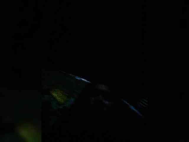 JuicyKittie webcam