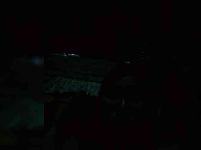 JuicyKittie webcam