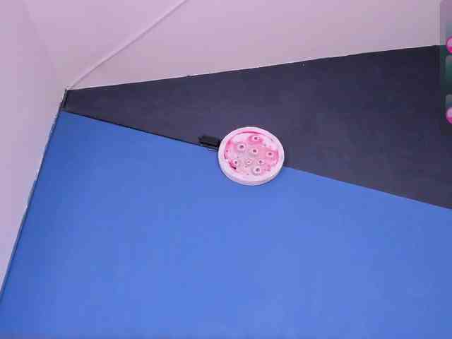 zaid-lion Live Webcam on BongaCams