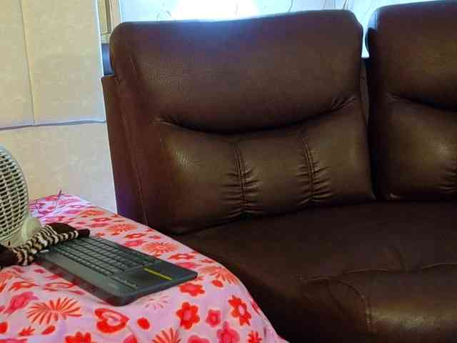 vanessa-7- webcam