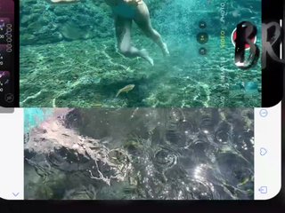 Ne_Sonia Porn Show