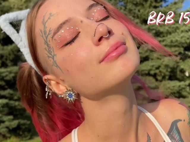 Anuskatz