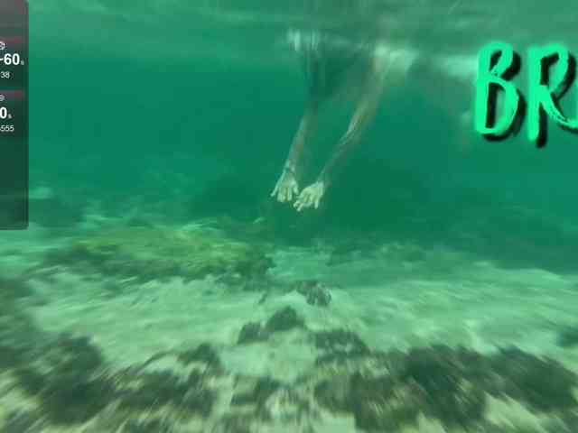 Ne_Sonia webcam