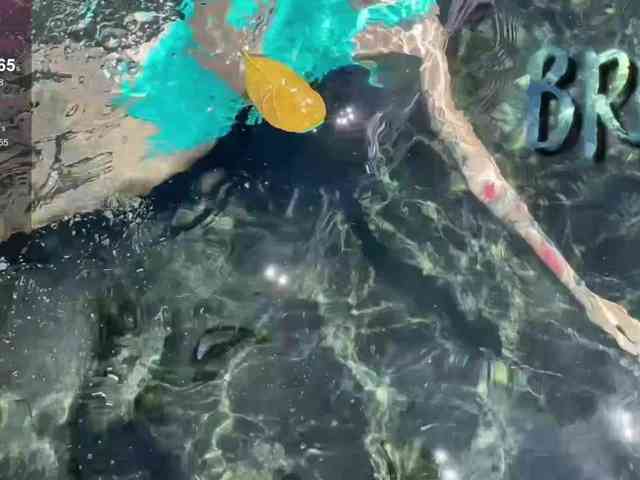 Ne_Sonya webcam