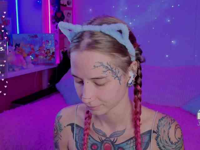 Anuskatz Anuskatz