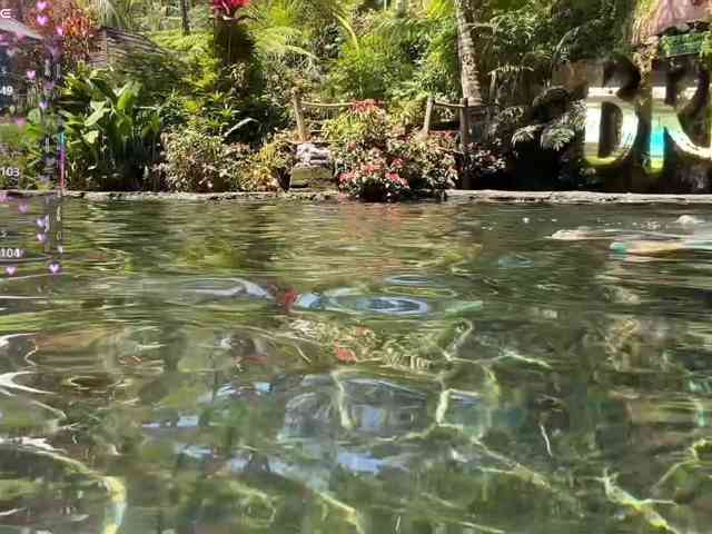 Ne_Sonya