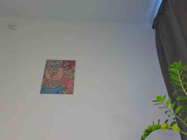 lili-roze webcam