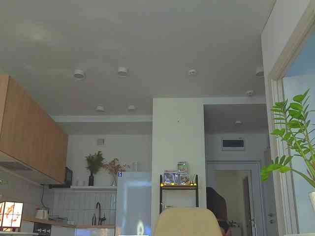 lili-roze webcam