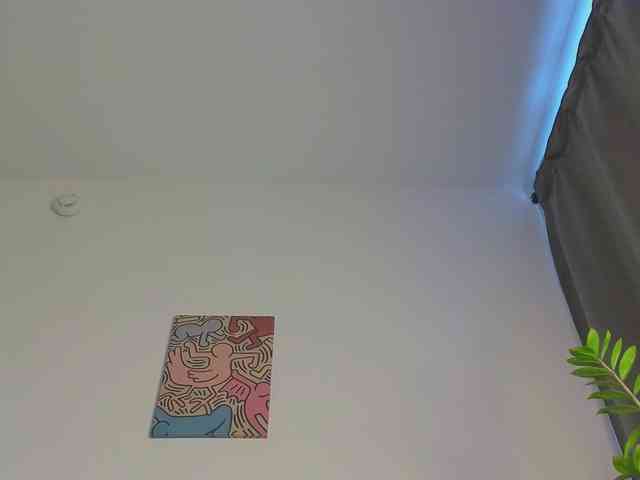 lili-roze webcam