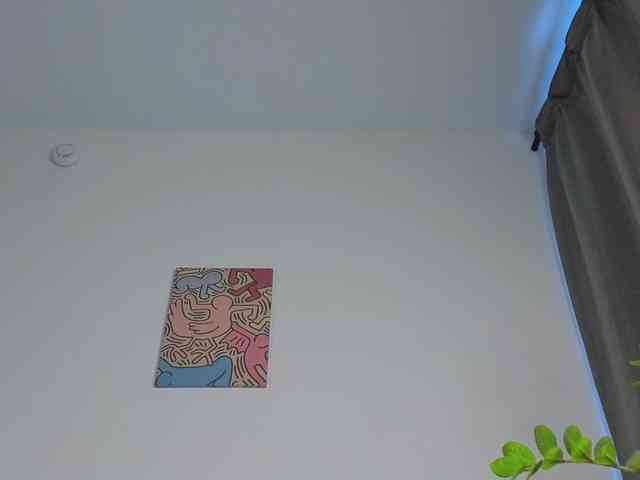 lili-roze webcam