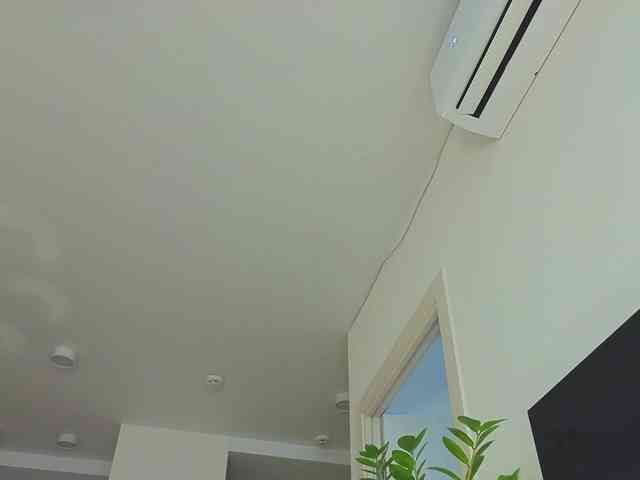 lili-roze webcam