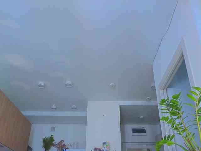 lili-roze webcam