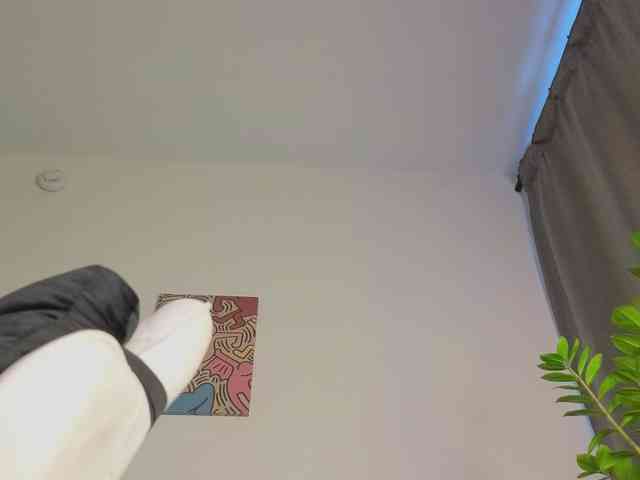 lili-roze webcam