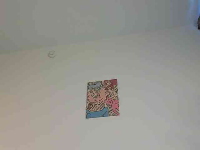 lili-roze webcam