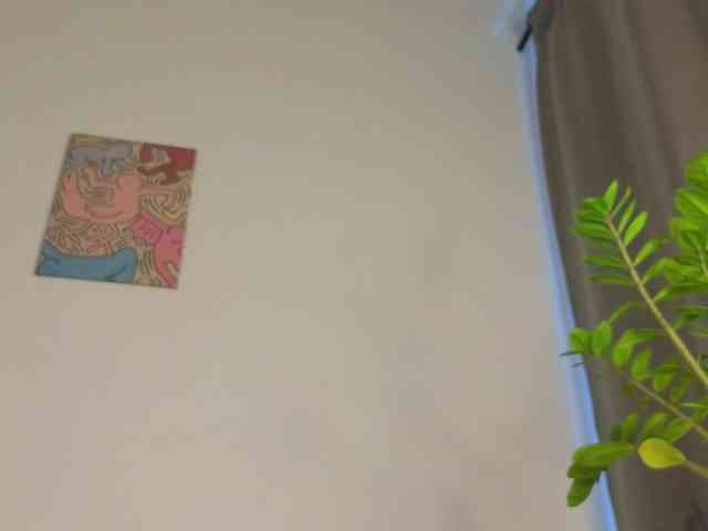lili-roze webcam