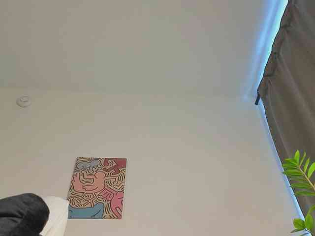 lili-roze webcam