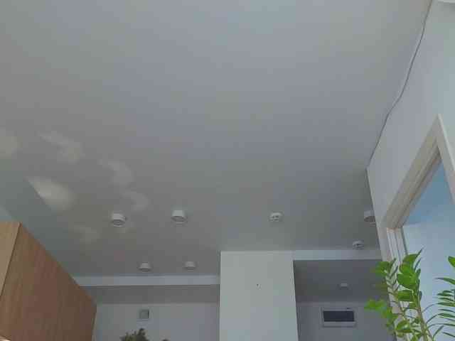 lili-roze webcam