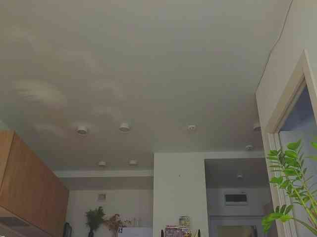 lili-roze webcam