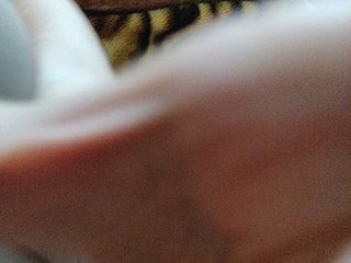 ZaraSss