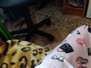 ZaraSss