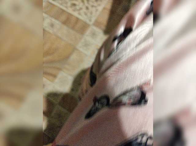 ZaraSss