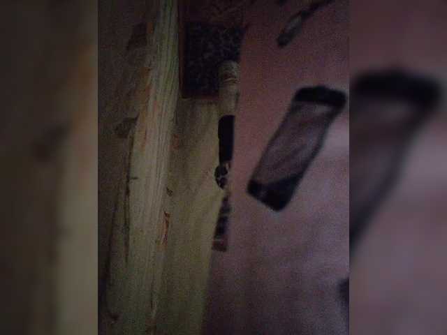 ZaraSss