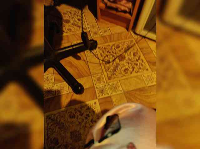 ZaraSss ZaraSss