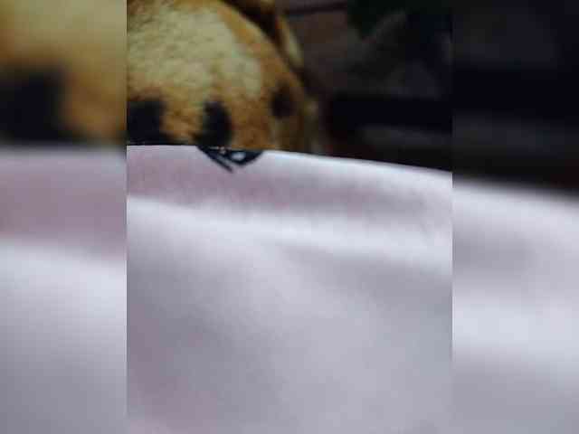 ZaraSss webcam