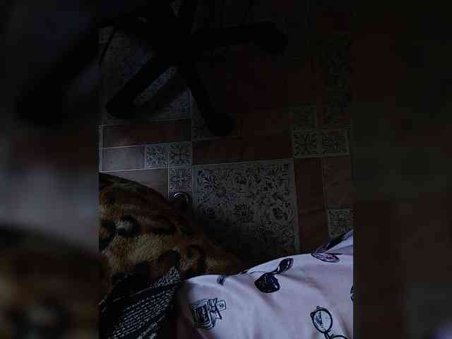 ZaraSss webcam